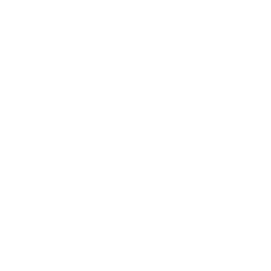 Bioventus Inc. Class A Share Price